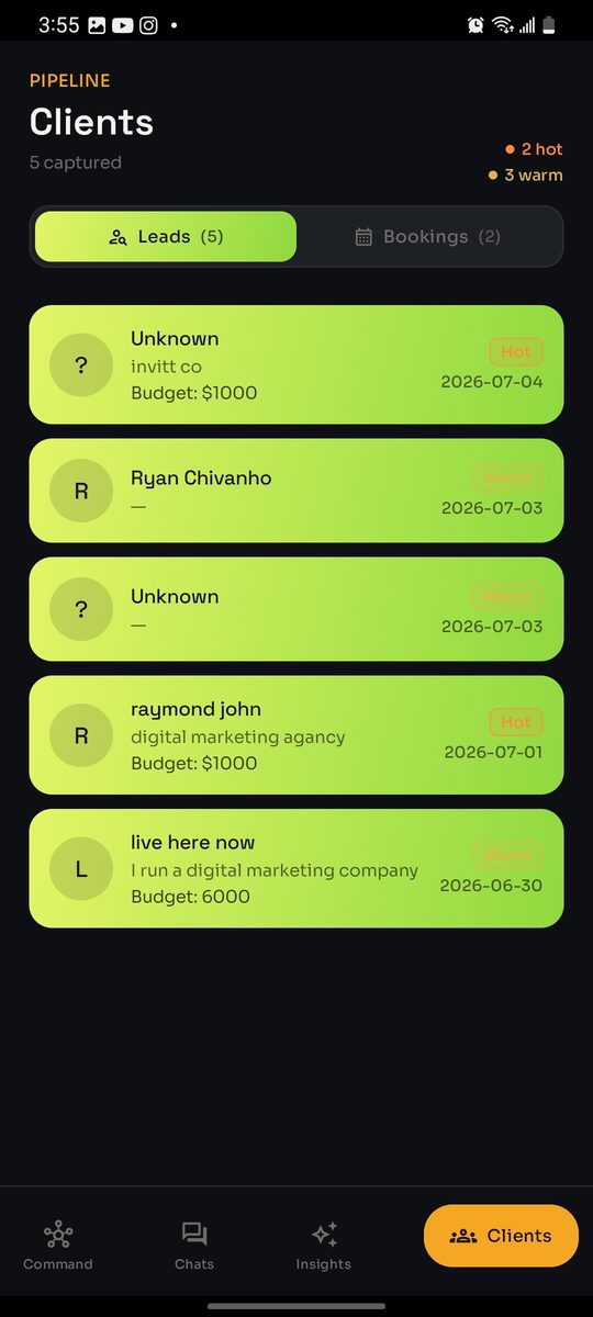 TessAdmin clients screen with captured leads and bookings